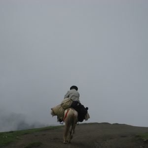 Ride into the Mist