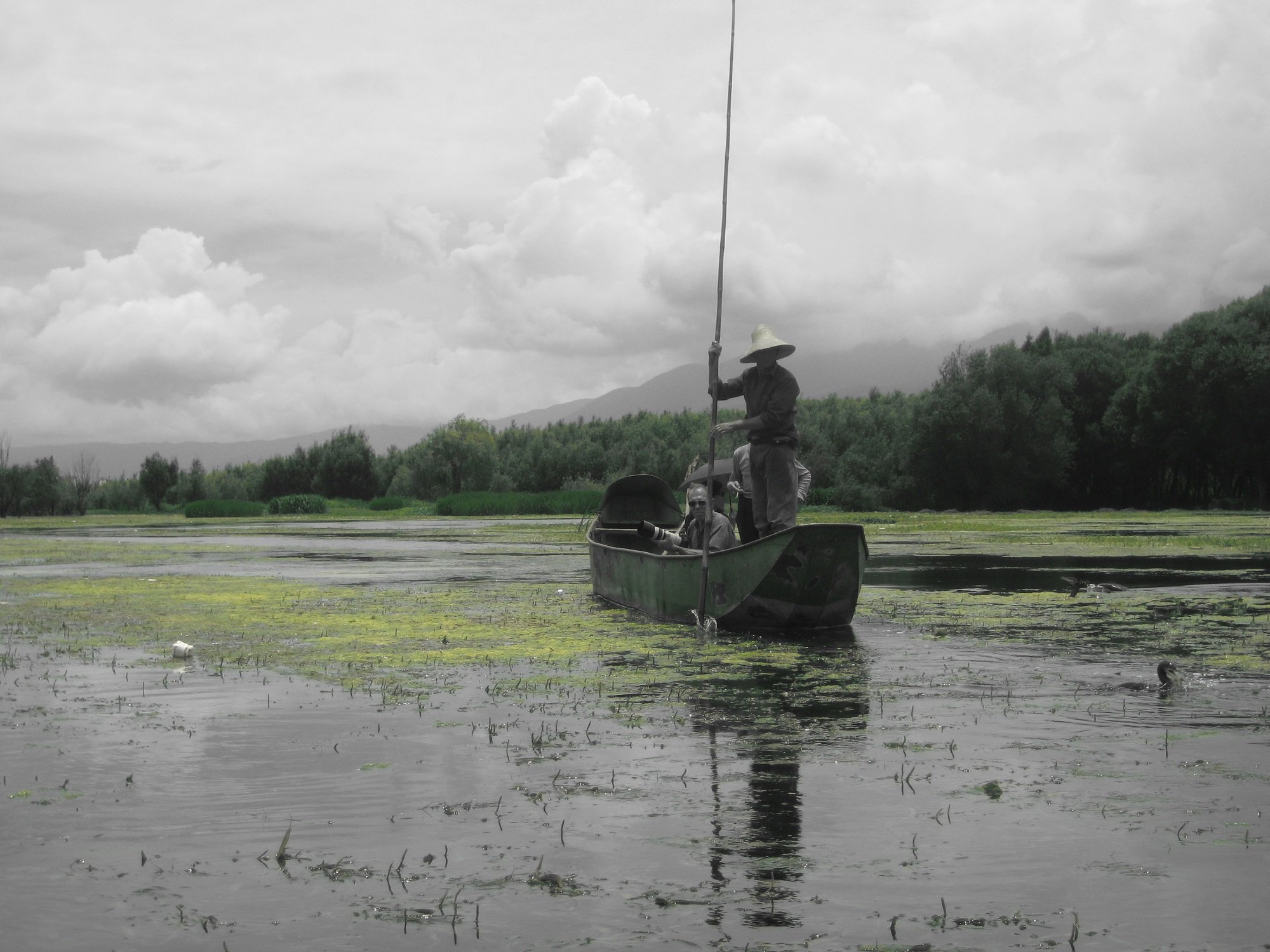 The Crossing