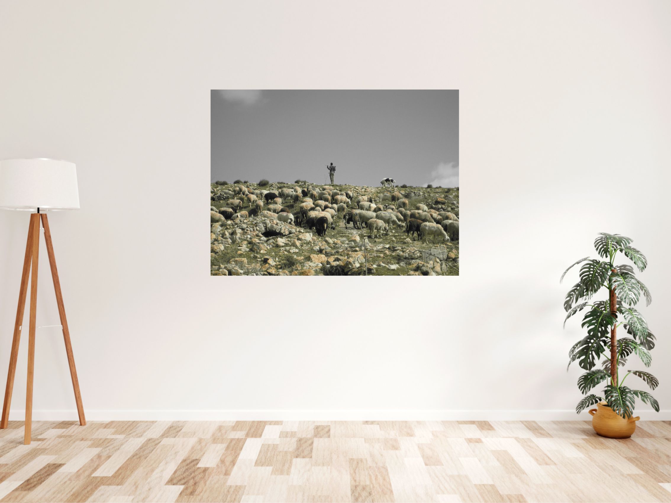 The Shepherd - Image 2